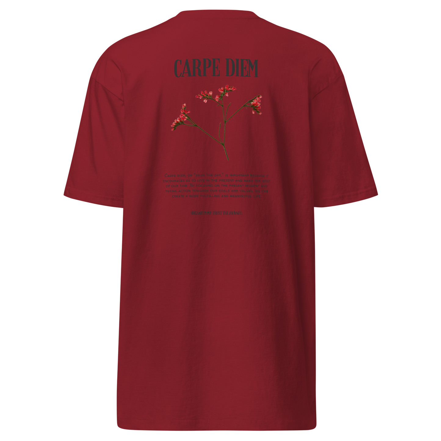 OP HEAVYWEIGHT GRAPHIC TEE CARPE