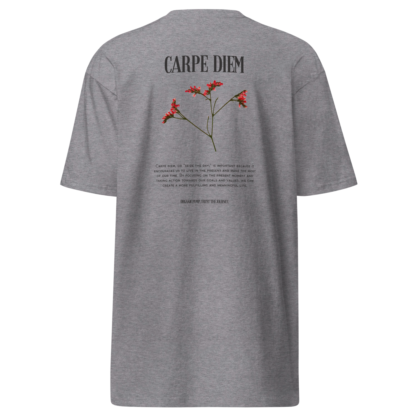 OP HEAVYWEIGHT GRAPHIC TEE CARPE