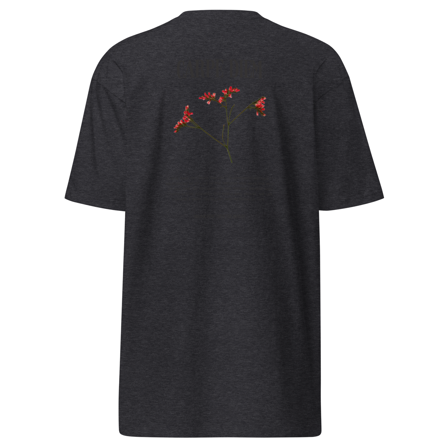 OP HEAVYWEIGHT GRAPHIC TEE CARPE