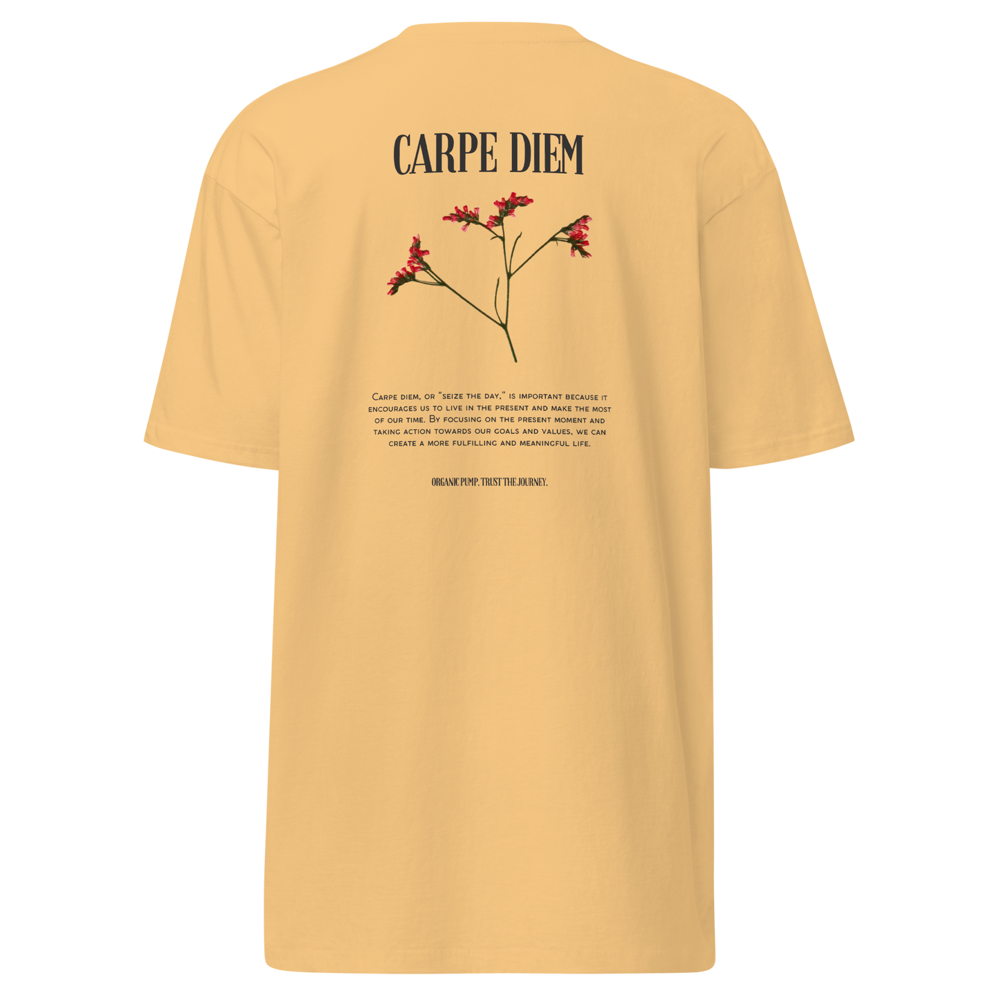 OP HEAVYWEIGHT GRAPHIC TEE CARPE