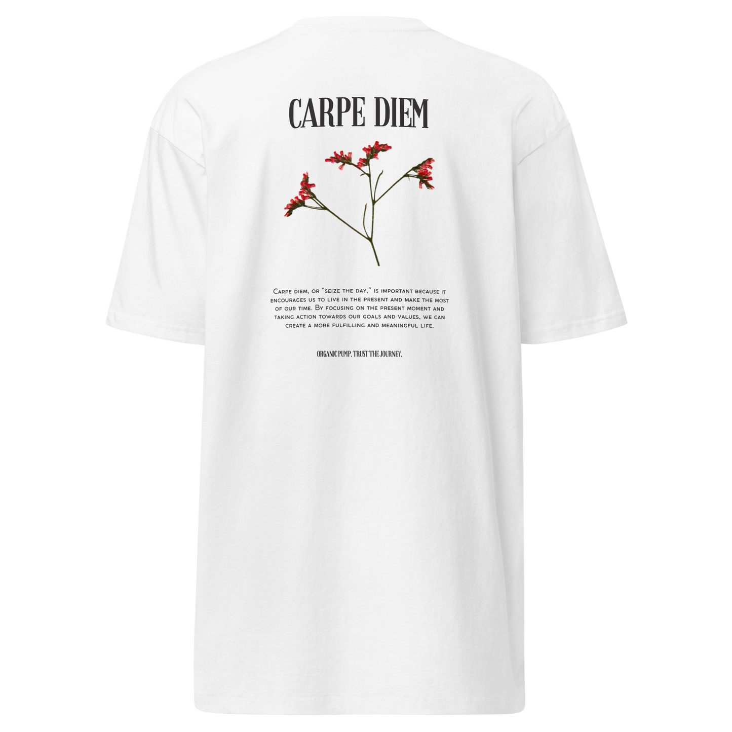 OP HEAVYWEIGHT GRAPHIC TEE CARPE